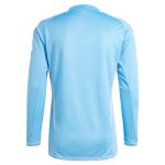 Aston Villa aston villa adidas goalkeeper shirt 2024-25 – long sleeve – 201964005 with custom printing Kits - Official Football Shirts & Training Gear