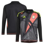 Aston Villa aston villa adidas goalkeeper shirt 2024-25 – long sleeve – kids – 201964003 with custom printing Kits - Official Football Shirts & Training Gear
