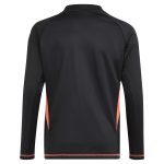 Aston Villa aston villa adidas goalkeeper shirt 2024-25 – long sleeve – kids – 201964003 with custom printing Kits - Official Football Shirts & Training Gear