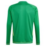Aston Villa aston villa adidas goalkeeper shirt 2024-25 – long sleeve – kids – 201964011 with custom printing Kits - Official Football Shirts & Training Gear