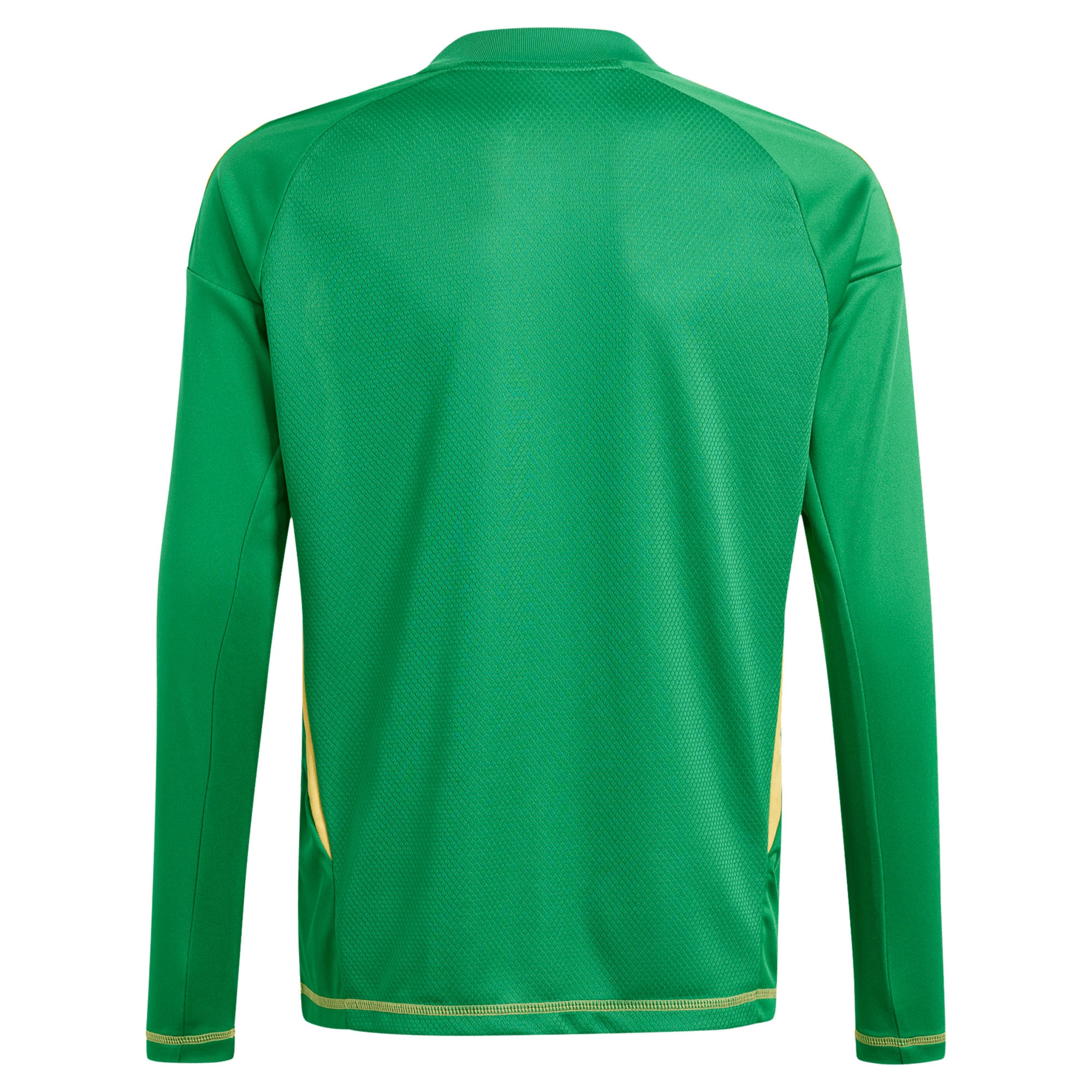 Aston Villa aston villa adidas goalkeeper shirt 2024-25 – long sleeve – kids – 201964011 with custom printing Kits - Official Football Shirts & Training Gear