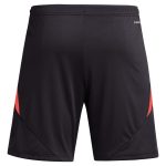 Aston Villa aston villa adidas goalkeeper shorts 2024-25 – 201964002 Kits - Official Football Shirts & Training Gear