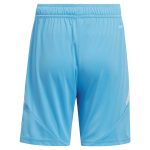 Aston Villa aston villa adidas goalkeeper shorts 2024-25 – 201964006 with custom printing Kits - Official Football Shirts & Training Gear