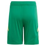 Aston Villa aston villa adidas goalkeeper shorts 2024-25 – 201964010 with custom printing Kits - Official Football Shirts & Training Gear
