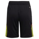 Aston Villa aston villa adidas goalkeeper shorts 2024-25 – kids – 201964004 with custom printing Kits - Official Football Shirts & Training Gear