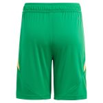 Aston Villa aston villa adidas goalkeeper shorts 2024-25 – kids – 201964012 with custom printing Kits - Official Football Shirts & Training Gear