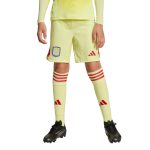 Aston Villa aston villa adidas goalkeeper shorts 2025-26 – kids with custom printing Kits - Official Football Shirts & Training Gear