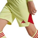 Aston Villa aston villa adidas goalkeeper shorts 2025-26 – kids with custom printing Kits - Official Football Shirts & Training Gear