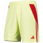 Aston Villa aston villa adidas goalkeeper shorts 2025-26 with custom printing Kits - Official Football Shirts & Training Gear