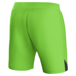 Aston Villa aston villa castore away goalkeeper shorts 2023-24 – kids – 13385917 with custom printing Kits - Official Football Shirts & Training Gear